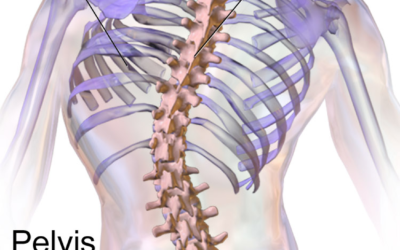 Scoliosis in Morgantown, WV: Getting the Best Treatment